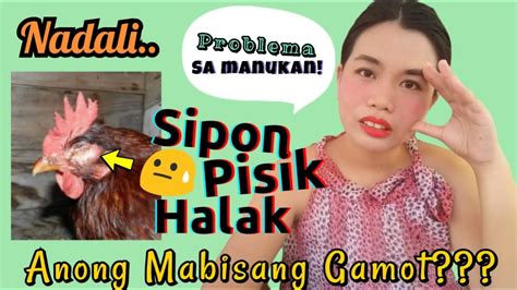 gamot sa halak ng manok tablet|Paano gamutin ang halak ng manok .